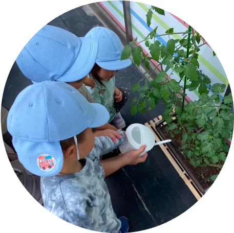 家庭菜園(年３回)_イメージ