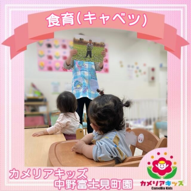 こんにちは😙カメリアキッズ中野富士見町園です！本日は、キャベツの食育を行いました🥗キャベツをちぎったり匂いを嗅いだり、白菜やレタスとの違いを比べたりしました✨美味しいお野菜につられたあおむしさんを発見する事ができました🐛随時説明会開催中です！ご連絡お待ちしております🌈他SNSも要チェック♪HP：カメリアキッズyoutube：🔎カメリアキッズほいくえ：🔎カメリアキッズTikTok：🔎@camellia_kids_hoikuen☆☆☆☆☆☆☆☆☆☆☆☆カメリアキッズ中野富士見町園〒166-0012東京都杉並区和田1-17-6小松本店ビル1F☎️03-6304-8535園児・保育士さん・調理さん◎◎◎募集中◎◎◎☆☆☆☆☆☆☆☆☆☆☆☆#ママライフ #ママリ #保育園#子育てママ#保育士#おもちゃ#ママスタグラム#2歳児#働くママ#幼児食#1歳児#0歳児#保育#杉並区#中野区#保育士の卵#企業主導型保育園#保育学生#小規模保育園#園児募集#保育士試験#保育士募集#認可外保育園#保育学生#中野富士見町#保育園探し#保育士求人#カメリアキッズ#東京都保育園#杉並区保育園