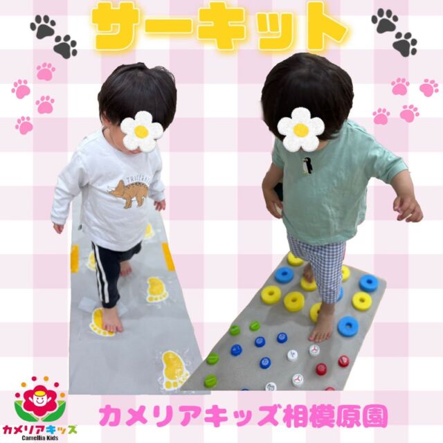 こんにちは😊カメリアキッズ相模原園です！！今日はサーキットの様子をお届けします！昨日は今年度初めてのサーキットでした！体操のダンスから楽しく身体を動かしていました😄トンネル潜りや足跡を踏むと音が鳴る感覚を楽しみながら行うことができました🌼随時説明会開催中！ご連絡お待ちしております！他SNSも要チェック♪HP：カメリアキッズyouTube：🔎カメリアキッズほいくえ：🔎カメリアキッズTikTok：🔎 @camellia_kids_hoikuen☆☆☆☆☆☆☆☆☆☆☆☆カメリアキッズ相模原園〒252－0231神奈川県相模原市中央区相模原3－1－13　グランシャリオ相模原２階☎042－707－7130園児・保育士さん・調理さん◎◎◎募集中◎◎◎☆☆☆☆☆☆☆☆☆☆☆☆#ママライフ #ママリ #保育園 #子育てママ #保育士 #おもちゃ #ママスタグラム #2歳児 #働くママ #幼児食 #1歳児クラス #0歳児クラス #保育園 #相模原市中央区 #保育士の卵 #企業主導型保育園 #保育学生 #小規模保育園 #園児募集 #保育士試験 #保育士募集 #認可外保育園 #保育学生 #相模原 #保育園探し #保育士求人 #カメリアキッズ #神奈川県保育園 #相模原市保育園 #相模原保育園
