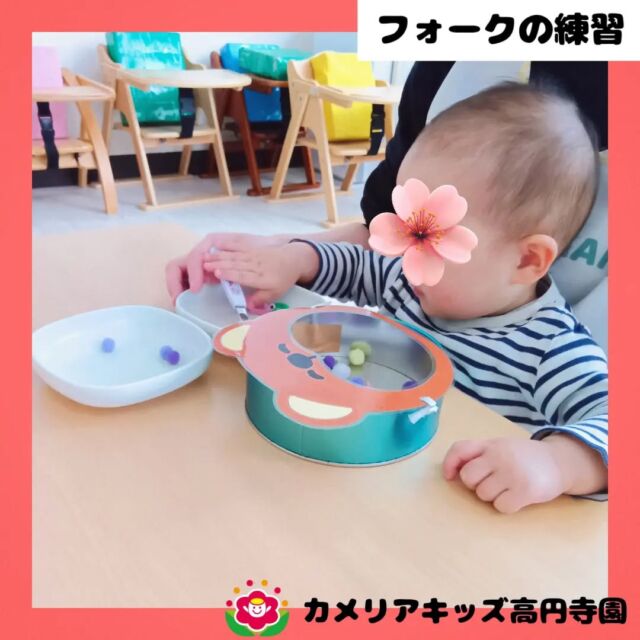 こんにちは！カメリアキッズ高円寺園です✨調理の先生が、フォークの練習になる遊びを考えてくれました！一生懸命な顔で夢中になって遊んでいましたよ🌸☆☆☆☆☆☆☆☆☆☆☆☆☆随時説明会開催中です！ご連絡お待ちしております！他SNSも要チェック♪HP：カメリアキッズyoutube：🔎カメリアキッズほいくえ：🔎カメリアキッズTikTok：🔎@camellia_kids_hoikuen☆☆☆☆☆☆☆☆☆☆☆☆☆カメリアキッズ高円寺園〒166-0003住所 東京都杉並区高円寺南3-62-6高円寺ゲーテビル1階☎️電話番号03-6454-6064園児・保育士さん・調理さん◎◎◎募集中◎◎◎☆☆☆☆☆☆☆☆☆☆☆☆☆#保育園#保育#子ども#0歳児#1歳児#2歳児#企業主導型保育園#机上あそび#お絵描き#パズル#寒天あそび#英語#英語リトミック#給食#サーキット #マット #お野菜#お誕生日会#食育#果物#お砂場