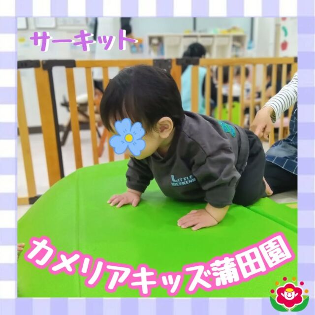 こんにちは!カメリアキッズ蒲田園です✨️本日は、サーキットの様子を紹介します♪毎月サーキットの講師の先生がカメリアキッズ全園をまわって行うだけでなく、雨の日や製作等を行う為に室内での活動の日にも、それぞれの園で工夫しながらも取り組んでいます！安全に配慮して柔らかい素材を使用し、保育者も各スペースに1人はついて、子どもたちが怪我なく、安心して遊べるように取り組んでいます。随時説明会開催中ですご連絡お待ちしております!他のSNSも要チェック☑️HP：🔍️カメリアキッズYouTube：🔍️カメリアキッズほいくえ：🔍️カメリアキッズTikTok：🔍️@camellia_kids_hoikuen。°✧·*︵︵︵︵︵︵︵︵︵︵︵︵︵︵︵︵*·✧°。カメリアキッズ蒲田園〒144-0051東京都大田区西蒲田7-50-5　クレメンシア1F📞03-6811-4040園児・保育士・調理さん◎◎◎募集中◎◎◎。°✧·*︶︶︶︶︶︶︶︶︶︶︶︶︶︶︶︶*·✧°。#保育園 #カメリアキッズ #東京都保育園 #大田区保育園 #蒲田保育園 #小規模保育園 #企業主導型保育園 #認可外保育園 #園児募集中 #0歳児 #1歳児 #2歳児 #保育士求人 #保育士募集中 #保育士試験 #保育学生 #保育士の卵 #東京都 #大田区 #蒲田 #働くママ #子育てママ #子育て #ママライフ #ママリ #ママスタグラム