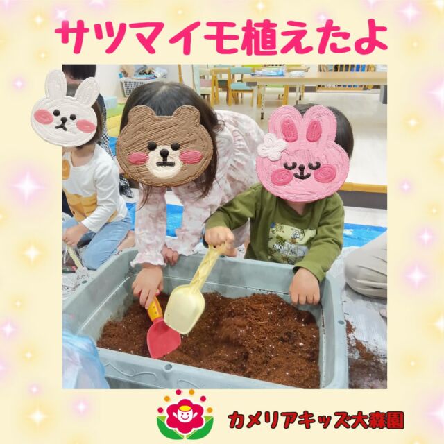 こんにちは😊カメリアキッズ大森園です✨本日は食育の一環で、みんなでサツマイモを植えました✨土の感触や、サツマイモの苗を観察☺️秋には収穫出来るかな？🍁🍂🍠࿐✩.大きく育ちますように～♩随時説明会開催中です!!ご連絡お待ちしおります!他のSNSも要チェック♪HP︰カメリアキッズYouTube︰🔎カメリアキッズほいくえ︰🔎カメリアキッズTikTok︰@camellia_kids_hoikuen📛カメリアキッズ大森園〶143-0023東京都大田区山王3-35-10　長崎医院1階☏03-6451-8357園児・保育士・調理さん◎◎◎募集中◎◎◎#保育園 #カメリアキッズ#東京都保育園 #大田区保育園 #大森保育園 #山王保育園 #認可外保育園 #企業主導型保育園 #小規模保育園 #園児募集 #0歳児 #1歳児 #2歳児 #保育士の卵 #保育士求人 #保育士募集 #保育士試験 #保育学生 #東京都 #大田区 #大森 #働くママ #子育てママ #子育て #ママライフ #ママリ #ママスダグラム