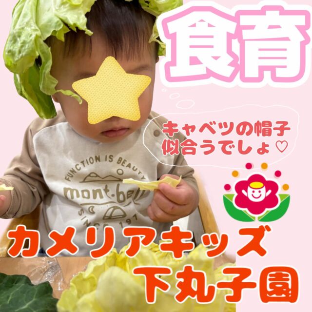 こんにちは😊カメリアキッズ下丸子園です🌺4月の食育の様子です😊4月は「キャベツ」です!!おおきな葉っぱがついたキャベツに子ども達はびっくりです!!「おっきい～！」「おもいな～💦」と1人ひとり持ち、重さを体験していましたよ!!😊♪.:*:'゜☆.:*:'゜♪.:*:'゜☆.:*:・'゜♪.:*:・'゜☆.:*:・'゜♪.:*:随時説明会開催中です！ご連絡お待ちしております！他SNSも要チェック♪HP：カメリアキッズyoutube：🔎カメリアキッズほいくえ：🔎カメリアキッズTikTok：🔎@camellia_kids_hoikuen☆☆☆☆☆☆☆☆☆☆☆☆カメリアキッズ下丸子園〒146-0092住所：東京都大田区下丸子3-13-19ラ・カーサプリマベーラ1Ｆ☎️電話番号：03-6459-8787園児・保育士さん・調理さん◎◎◎募集中◎◎◎☆☆☆☆☆☆☆☆☆☆☆☆#ママライフ #ママリ #保育園#子育てママ#保育士#おもちゃ#ママスタグラム#2歳児#働くママ#幼児食#1歳児#0歳児#保育#大田区#保育士の卵 #企業主導型保育園#保育学生#小規模保育園#園児募集#保育士試験#保育士募集#認可外保育園#保育学生#武蔵関#保育園探し#保育士求人#カメリアキッズ#東京都保育園#大田区保育園#下丸子保育園