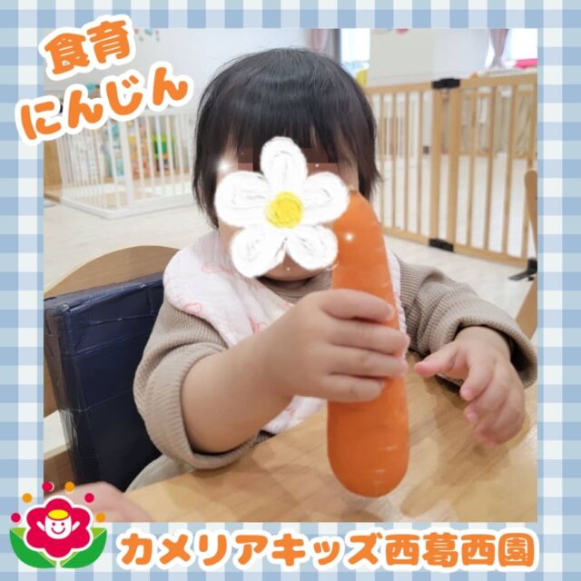 こんにちは🌈カメリアキッズ西葛西園✨【食育】長い〜葉っぱのついたにんじん🥕不思議そうにそ〜っと触ってみました🌼🌼🌼🌼🌼🌼🌼🌼🌼🌼随時説明会開催中です！ご連絡お待ちしております！他SNSも要チェック♪HP：カメリアキッズyoutube：🔎カメリアキッズほいくえ：🔎カメリアキッズTikTok：🔎@camellia_kids_hoikuen☆☆☆☆☆☆☆☆☆☆☆☆カメリアキッズ西葛西園〒134-0088住所:東京都江戸川区西葛西6-8-4 ニュースカイビル1F☎️電話番号:03-5878-1877園児・保育士さん・調理さん◎◎◎募集中◎◎◎☆☆☆☆☆☆☆☆☆☆☆☆#ママライフ #ママリ #保育園#子育てママ#保育士#おもちゃ#ママスタグラム#2歳児#働くママ#幼児食#1歳児#0歳児#保育#江戸川区#保育士の卵#企業主導型保育園#保育学生#小規模保育園#園児募集#保育士試験#保育士募集#認可外保育園#保育学生#西葛西#保育園探し#保育士求人#カメリアキッズ#東京都保育園#江戸川区保育園#西葛西保育園