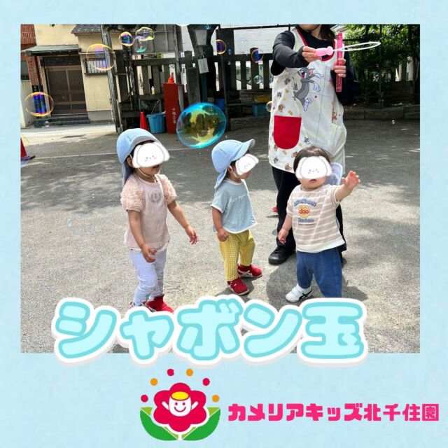 お天気がよかったのでお外遊びを楽しむ子ども達😊✨シャボン玉をパチンっ！とわったり、虫探しをして遊びました！何の虫が見つかったのかな🤔⭐︎⭐︎⭐︎⭐︎⭐︎⭐︎⭐︎⭐︎⭐︎⭐︎⭐︎⭐︎⭐︎⭐︎⭐︎⭐︎随時説明会開催中です!ご連絡お待ちしております!他SNSも要チェック♪HP:🔍カメリアキッズyoutube :🔍カメリアキッズほいくえん🔍:カメリアキッズ✨TikTok :🔍@camellia_kids_hoikuen- [ ] ⭐︎⭐︎⭐︎⭐︎⭐︎⭐︎⭐︎⭐︎⭐︎⭐︎⭐︎⭐︎⭐︎⭐︎⭐︎⭐︎カメリアキッズ北千住園〒120-0034住所東京都足立区千住 4-10-3サカイグリーンパーク北千住第7-101号電話番号03-6806-1469⭐︎⭐︎⭐︎⭐︎⭐︎⭐︎⭐︎⭐︎⭐︎⭐︎⭐︎⭐︎⭐︎⭐︎⭐︎⭐︎園児・保育士さん・調理さん〇〇〇募集中〇〇〇#ママライフ#保育園#子育てママ#保育士#おもちゃ#ママスタグラム#2歳児#働くママ#幼児食#1歳児#0歳児#保育#足立区#手作りおもちゃ#企業主導型保育園#保育学生#小規模保育園#園児募集#保育士試験#保育士募集#外保育園#壁面飾り#北千住保育園探し#保育士求人#東京都保育園#足立区保育園#北千住保育#保育園#企業主導型保育園#園児募集