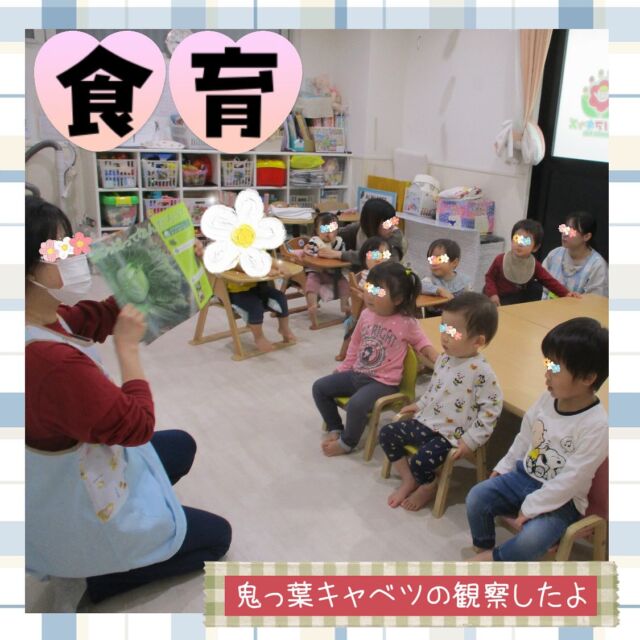 鬼っ葉キャベツの観察をしました！大きい葉にみんな釘付けです！#ママライフ #ママリ #保育園#子育てママ#保育士#おもちゃ#ママスタグラム#2歳児#働くママ#幼児食#1歳児#0歳児#保育#北区#保育士の卵#企業主導型保育園#保育学生#小規模保育園#園児募集#保育士試験#保育士募集#認可外保育園#保育学生#田端#保育園探し#保育士求人#カメリアキッズ#東京都保育園#北区保育園#田端保育園随時説明会開催中です！ご連絡お待ちしております！他SNSも要チェック♪HP：カメリアキッズyoutube：🔎カメリアキッズほいくえ：🔎カメリアキッズTikTok：🔎@camellia_kids_hoikuen☆☆☆☆☆☆☆☆☆☆☆☆カメリアキッズ田端園〒114-0012住所:東京都北区田端新町3-36-10ﾄﾐﾔﾊｲﾑ1F☎️電話番号:03-6240-8755園児・保育士さん・調理さん◎◎◎募集中◎◎◎☆☆☆☆☆☆☆☆☆☆☆☆