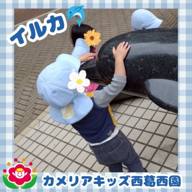 こんにちは🌈カメリアキッズ西葛西園✨🐬を見てきました頭をなでなで背中に乗ってむぎゅっと抱きつきました🐬🌼🌼🌼🌼🌼🌼🌼🌼🌼🌼随時説明会開催中です！ご連絡お待ちしております！他SNSも要チェック♪HP：カメリアキッズyoutube：🔎カメリアキッズほいくえ：🔎カメリアキッズTikTok：🔎@camellia_kids_hoikuen☆☆☆☆☆☆☆☆☆☆☆☆カメリアキッズ西葛西園〒134-0088住所:東京都江戸川区西葛西6-8-4 ニュースカイビル1F☎️電話番号:03-5878-1877園児・保育士さん・調理さん◎◎◎募集中◎◎◎☆☆☆☆☆☆☆☆☆☆☆☆#ママライフ #ママリ #保育園#子育てママ#保育士#おもちゃ#ママスタグラム#2歳児#働くママ#幼児食#1歳児#0歳児#保育#江戸川区#保育士の卵#企業主導型保育園#保育学生#小規模保育園#園児募集#保育士試験#保育士募集#認可外保育園#保育学生#西葛西#保育園探し#保育士求人#カメリアキッズ#東京都保育園#江戸川区保育園#西葛西保育園
