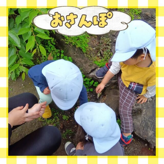 こんにちは😊カメリアキッズ豪徳寺園です💓近頃はお天気が不安定な日が続いていますね🍃公園では不思議な植物や虫が見られるようになりました🍀🐞通い慣れた公園でも探検が楽しくなりますね✨️他SNSも要チェック♪Instagram:@itg_camellia_kids Twitter:camellia_kidsyoutube:🔎カメリアキッズほいくえ:🔎カメリアキッズ✰✰✰✰✰✰✰✰✰✰✰✰✰✰✰✰🚩カメリアキッズ豪徳寺園🚩〒154-0021東京都世田谷区豪徳寺1-21-5ヴィラ・ゴートク1F-D☎03-5799-7790園児・保育士さん・調理さんを◎◎◎募集中◎◎◎#ママライフ #ママリ #保育園 #子育てママ #保育士 #おもちゃ #ママスタグラム #2歳児 #働くママ #幼児食 #1歳児 #0歳児 #保育 #世田谷区 #保育士の卵 #企業主導型保育園 #保育学生 #小規模保育園 #園児募集 #保育士試験 #保育士募集 # 認可外保育園 #保育学生 #豪徳寺 #保育園探し #保育士求人 #カメリアキッズ #東京都保育園 #世田谷区保育園 #世田谷保育園