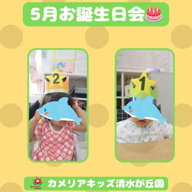 5月のお誕生日会の様子をお届けします♪今回は4月生まれの新しいお友だちも一緒にお祝いしました🎂どんな色が好き・はたらくくるまのパネルシアターは子どもたちみんなノリノリでした。お誕生日おめでとう🎉随時説明会開催中です！ご連絡お待ちしております！他SNSも要チェック♪HP：カメリアキッズyoutube：🔎カメリアキッズほいくえ：🔎カメリアキッズTikTok：🔎@camellia_kids_hoikuen☆☆☆☆☆☆☆☆☆☆☆☆カメリアキッズ清水が丘園〒183-0015住所東京都府中市清水が丘3-24-3清水が丘三丁目店舗1F☎️電話番号　042-306-5659園児・保育士さん・調理さん◎◎◎募集中◎◎◎#ママライフ #ママリ #保育園#子育てママ#保育士#おもちゃ#ママスタグラム#2歳児#働くママ#幼児食#1歳児#0歳児#保育#府中市#保育士の卵#企業主導型保育園#保育学生#小規模保育園#園児募集#保育士試験#保育士募集#認可外保育園#保育学生#多磨霊園#保育園探し#保育士求人#カメリアキッズ#東京都保育園#府中市保育園#多磨霊園保育園