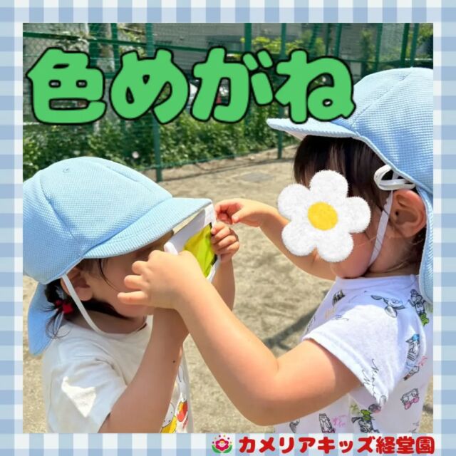 こんにちは！カメリアキッズ経堂園です😀カラーセロハンでつくった色めがね🕶️お散歩先でのぞいてみました🌿＊随時説明会開催中です！ご連絡お待ちしております！他SNSも要チェック♪HP：カメリアキッズyoutube：🔎カメリアキッズほいくえ：🔎カメリアキッズTiktok：🔎@camellia_kids_hoikuen🌷🌷🌷🌷🌷🌷🌷🌷🌷🌷🌷🌷🌷🌷🌷156-0052東京都世田谷区経堂1-19-14第六経堂ビル2F【営業時間7:30〜20:30】TEL.03-6413-7449（受付時間　月〜金　8:30〜17:30）【開園日】月〜日・祝◎園児・保育士・調理さん募集中◎🌷🌷🌷🌷🌷🌷🌷🌷🌷🌷🌷🌷🌷🌷🌷#ママライフ #ママリ #保育園 #子育てママ #保育士 #おもちゃ #ママスタグラム #2歳児 #働くママ #幼児食 #1歳児 #0歳児 #保育 #世田谷区 #保育士の卵 #企業主導型保育園 #保育学生 #小規模保育園 #園児募集 #保育士試験 #保育士募集 #認可外保育園 #保育学生 #経堂 #保育園探し #保育士求人 #カメリアキッズ #東京都保育園 #世田谷区保育園 #経堂保育園