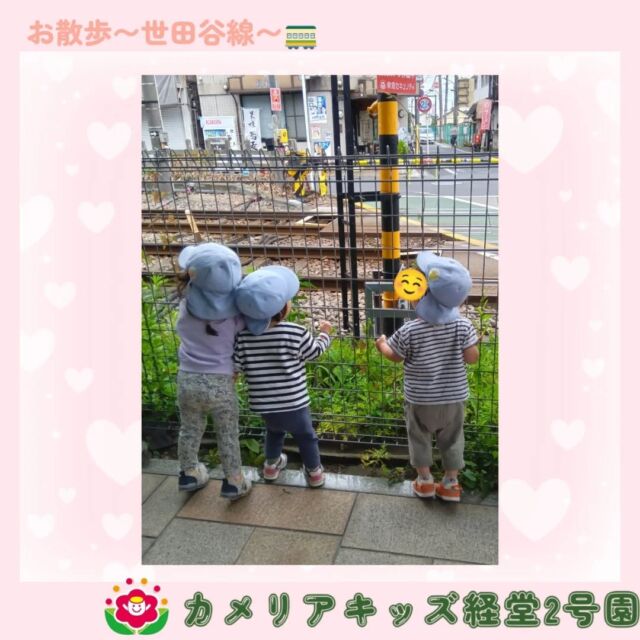 こんにちは🌳🦖カメリアキッズ経堂2号園です！世田谷線までお散歩の様子です☺️🚋電車を見ることが大好きな子どもたち🌟線路に到着すると「でんしゃくるかな？」「あれじゃない？」とワクワクな様子が見られます😍電車が来ると「きゃー！」「ばいばーい」と大興奮でした😆✨他SNSも要チェック♪HP：カメリアキッズyoutube：🔎カメリアキッズほいくえ：🔎カメリアキッズTikTok：🔎@camellia_kids_hoikuen☆☆☆☆☆☆☆☆☆☆☆☆カメリアキッズ経堂2号園〒156-0051東京都世田谷区宮坂2-18-3 キャッスル経堂1階☎️03-5799-6185