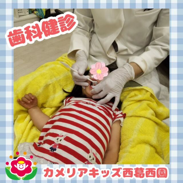 こんにちは🌈カメリアキッズ西葛西園✨今日は歯科健診がありました小さいお友だちは初めてのことで後退りしていましたが大きなお友だちは口を大きく開けて先生に見てもらいました😁🌼🌼🌼🌼🌼🌼🌼🌼🌼🌼随時説明会開催中です！ご連絡お待ちしております！他SNSも要チェック♪HP：カメリアキッズyoutube：🔎カメリアキッズほいくえ：🔎カメリアキッズTikTok：🔎@camellia_kids_hoikuen☆☆☆☆☆☆☆☆☆☆☆☆カメリアキッズ西葛西園〒134-0088住所:東京都江戸川区西葛西6-8-4 ニュースカイビル1F☎️電話番号:03-5878-1877園児・保育士さん・調理さん◎◎◎募集中◎◎◎☆☆☆☆☆☆☆☆☆☆☆☆#ママライフ #ママリ #保育園#子育てママ#保育士#おもちゃ#ママスタグラム#2歳児#働くママ#幼児食#1歳児#0歳児#保育#江戸川区#保育士の卵#企業主導型保育園#保育学生#小規模保育園#園児募集#保育士試験#保育士募集#認可外保育園#保育学生#西葛西#保育園探し#保育士求人#カメリアキッズ#東京都保育園#江戸川区保育園#西葛西保育園