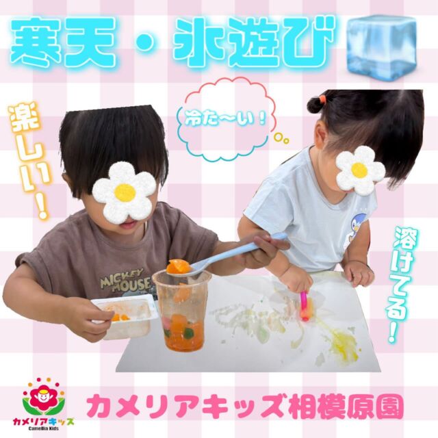 こんにちは🌼カメリアキッズ相模原です！！今週は気温が高くお外が暑かった為、お部屋で過ごしていました☀️寒天や氷遊びをして楽しく過ごしました🧊寒天の触感が気持ち良く、手で触りながら楽しんでいる子もいました！！気温が高い日が続く為、室内で楽しく過ごせるよう工夫していきたいです！‎‎‎随時説明会開催中！ご連絡お待ちしております！他SNSも要チェック♪HP：カメリアキッズyouTube：🔎カメリアキッズほいくえ：🔎カメリアキッズTikTok：🔎 @camellia_kids_hoikuen☆☆☆☆☆☆☆☆☆☆☆☆カメリアキッズ相模原園〒252－0231神奈川県相模原市中央区相模原3－1－13　グランシャリオ相模原２階☎042－707－7130園児・保育士さん・調理さん◎◎◎募集中◎◎◎☆☆☆☆☆☆☆☆☆☆☆☆#ママライフ #ママリ #保育園 #子育てママ #保育士 #おもちゃ #ママスタグラム #2歳児 #働くママ #幼児食 #1歳児クラス #0歳児クラス #保育園 #相模原市中央区 #保育士の卵 #企業主導型保育園 #保育学生 #小規模保育園 #園児募集 #保育士試験 #保育士募集 #認可外保育園 #保育学生 #相模原 #保育園探し #保育士求人 #カメリアキッズ #神奈川県保育園 #相模原市保育園 #相模原保育園
