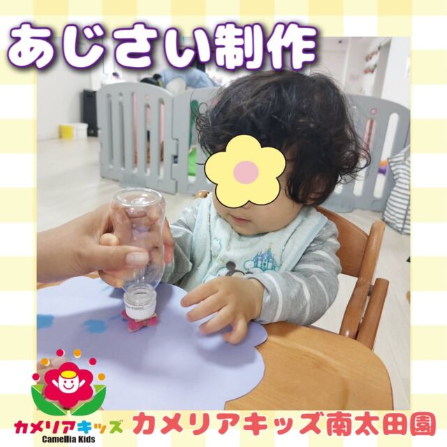 こんにちは🪻カメリアキッズ南太田園です！6月に入りあじさいの制作を行いました😌ポンポンとスタンプをして楽しんでました😆。・:*:・゜★,。・:*:・゜☆。・:*:・゜★,。・:*:・゜☆⁡  随時説明会開催中です✨ ご連絡お待ちしております🌈 ⁡ 他SNSも要チェック♪ HP：カメリアキッズ youtube：🔎カメリアキッズ ほいくえ：🔎カメリアキッズ TikTok：🔎@camellia_kids_hoikuen ⁡ ☆☆☆☆☆☆☆☆☆☆☆☆  🚩カメリアキッズ 南太田園🚩 〒232-0006 神奈川県横浜市南区南太田１丁目34-7 ☎️045-334-7497  園児・保育士さん・調理さん **◎◎◎募集中**◎◎◎* ⁡ #ママライフ #ママリ #保育園#子育てママ#保育士#おもちゃ#ママスタグラム#2歳児#働くママ#幼児食#1歳児#0歳児#保育#南区#保育士の卵#企業主導型保育園#保育学生#小規模保育園#園児募集#保育士試験#保育士募集#認可外保育園#保育学生#南太田#保育園探し#保育士求人#カメリアキッズ#神奈川県保育園#南区保育園#南太田保育園