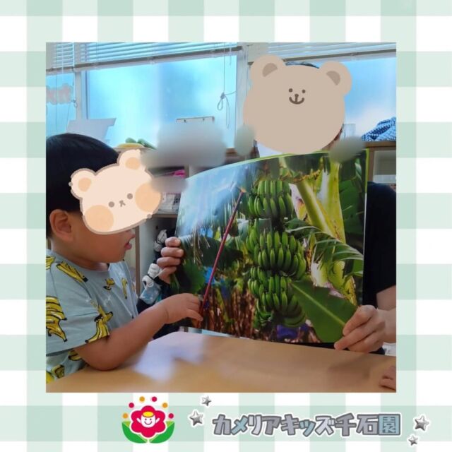 こんにちは😊カメリアキッズ千石園です✨先日は食育を行いました!緑のバナナから黄色になる過程を学びました🍌⋈ ･････････････････････････ ⋈説明会開催中です✰ご連絡お待ちしております！⁡他SNSも要チェック↓Instagram：@itg_camellia_kidsTwitter：camellia_kidsyoutube：🔎カメリアキッズほいくえ：🔎カメリアキッズ𖡼.𖤣𖥧𖡼.𖤣𖥧𖡼.𖤣𖥧𖡼.𖤣𖥧𖡼.𖤣𖥧𖡼.𖤣𖥧𖡼.𖤣𖥧𖡼.𖤣𖥧𖡼.𖤣𖥧カメリアキッズ千石園📮135-0015🏠東京都江東区千石3-1-31☎️03-6666-8771𖡼.𖤣𖥧𖡼.𖤣𖥧𖡼.𖤣𖥧𖡼.𖤣𖥧𖡼.𖤣𖥧𖡼.𖤣𖥧𖡼.𖤣𖥧𖡼.𖤣𖥧𖡼.𖤣𖥧#ママライフ #ママリ #保育園 #子育てママ #保育士 #おもちゃ #ママスタグラム#2歳児 #働くママ #幼児食 #1歳児 #0歳児 #保育 #江東区 #保育士の卵 #企業主導型保育園 #保育学生 #小規模保育園 #園児募集 #保育士試験 #保育士募集 #認可外保育園 #保育学生 #千石 #保育園探し #保育士求人 #カメリアキッズ #東京都保育園 #江東区保育園 #千石保育園