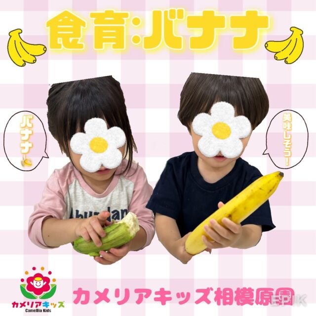 こんにちは😊カメリアキッズ相模原です！！先日5月の食育を行いました！！5月は｢バナナ｣でした🍌青いバナナと黄色いバナナに興味津々で見ていました！！また匂いなども比べ、バナナを観察することが出来ました！！随時説明会開催中！ご連絡お待ちしております！他SNSも要チェック♪HP：カメリアキッズyouTube：🔎カメリアキッズほいくえ：🔎カメリアキッズTikTok：🔎 @camellia_kids_hoikuen☆☆☆☆☆☆☆☆☆☆☆☆カメリアキッズ相模原園〒252－0231神奈川県相模原市中央区相模原3－1－13　グランシャリオ相模原２階☎042－707－7130園児・保育士さん・調理さん◎◎◎募集中◎◎◎☆☆☆☆☆☆☆☆☆☆☆☆#ママライフ #ママリ #保育園 #子育てママ #保育士 #おもちゃ #ママスタグラム #2歳児 #働くママ #幼児食 #1歳児クラス #0歳児クラス #保育園 #相模原市中央区 #保育士の卵 #企業主導型保育園 #保育学生 #小規模保育園 #園児募集 #保育士試験 #保育士募集 #認可外保育園 #保育学生 #相模原 #保育園探し #保育士求人 #カメリアキッズ #神奈川県保育園 #相模原市保育園 #相模原保育園