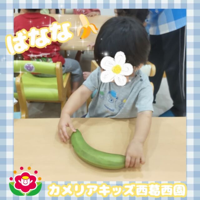 こんにちは🌈カメリアキッズ西葛西園✨【食育・バナナ】みどり色のバナナを見て不思議そうな顔をしていました早く黄色になると良いね🍌🌼🌼🌼🌼🌼🌼🌼🌼🌼🌼随時説明会開催中です！ご連絡お待ちしております！他SNSも要チェック♪HP：カメリアキッズyoutube：🔎カメリアキッズほいくえ：🔎カメリアキッズTikTok：🔎@camellia_kids_hoikuen☆☆☆☆☆☆☆☆☆☆☆☆カメリアキッズ西葛西園〒134-0088住所:東京都江戸川区西葛西6-8-4 ニュースカイビル1F☎️電話番号:03-5878-1877園児・保育士さん・調理さん◎◎◎募集中◎◎◎☆☆☆☆☆☆☆☆☆☆☆☆#ママライフ #ママリ #保育園#子育てママ#保育士#おもちゃ#ママスタグラム#2歳児#働くママ#幼児食#1歳児#0歳児#保育#江戸川区#保育士の卵#企業主導型保育園#保育学生#小規模保育園#園児募集#保育士試験#保育士募集#認可外保育園#保育学生#西葛西#保育園探し#保育士求人#カメリアキッズ#東京都保育園#江戸川区保育園#西葛西保育園