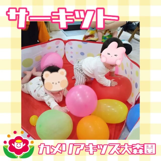 こんにちは😊カメリアキッズ大森園です✨赤ちゃんは風船ふわふわ楽しそうに遊びました🎈大きいお友だちはぴょんぴょん元気にジャンプジャンプ!!随時説明会開催中です!!ご連絡お待ちしおります!他のSNSも要チェック♪HP︰カメリアキッズYouTube︰🔎カメリアキッズほいくえ︰🔎カメリアキッズTikTok︰@camellia_kids_hoikuen📛カメリアキッズ大森園〶143-0023東京都大田区山王3-35-10　長崎医院1階☏03-6451-8357園児・保育士・調理さん◎◎◎募集中◎◎◎#保育園 #カメリアキッズ#東京都保育園 #大田区保育園 #大森保育園 #山王保育園 #認可外保育園 #企業主導型保育園 #小規模保育園 #園児募集 #0歳児 #1歳児 #2歳児 #保育士の卵 #保育士求人 #保育士募集 #保育士試験 #保育学生 #東京都 #大田区 #大森 #働くママ #子育てママ #子育て #ママライフ #ママリ #ママスダグラム