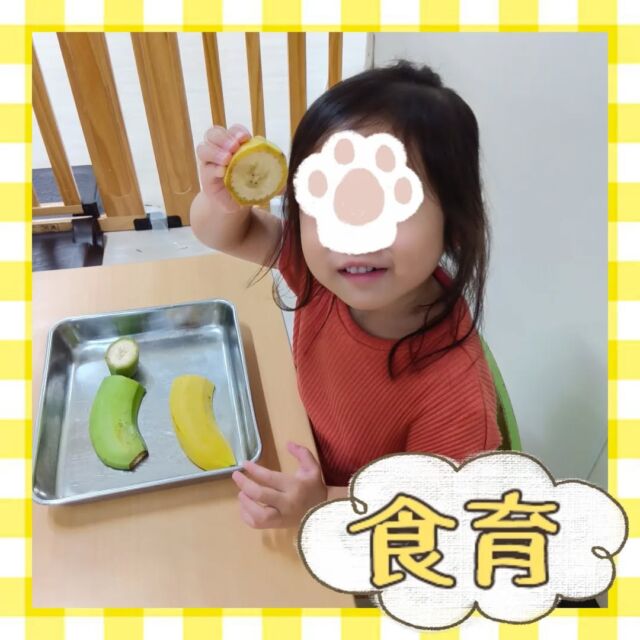 こんにちは😊カメリアキッズ豪徳寺園です💓先日行ったバナナの食育の様子です🍌2種類のバナナを使って感触や香りを比較しました👀✨️他SNSも要チェック♪Instagram:@itg_camellia_kids Twitter:camellia_kidsyoutube:🔎カメリアキッズほいくえ:🔎カメリアキッズ✰✰✰✰✰✰✰✰✰✰✰✰✰✰✰✰🚩カメリアキッズ豪徳寺園🚩〒154-0021東京都世田谷区豪徳寺1-21-5ヴィラ・ゴートク1F-D☎03-5799-7790園児・保育士さん・調理さんを◎◎◎募集中◎◎◎#ママライフ #ママリ #保育園 #子育てママ #保育士 #おもちゃ #ママスタグラム #2歳児 #働くママ #幼児食 #1歳児 #0歳児 #保育 #世田谷区 #保育士の卵 #企業主導型保育園 #保育学生 #小規模保育園 #園児募集 #保育士試験 #保育士募集 # 認可外保育園 #保育学生 #豪徳寺 #保育園探し #保育士求人 #カメリアキッズ #東京都保育園 #世田谷区保育園 #世田谷保育園