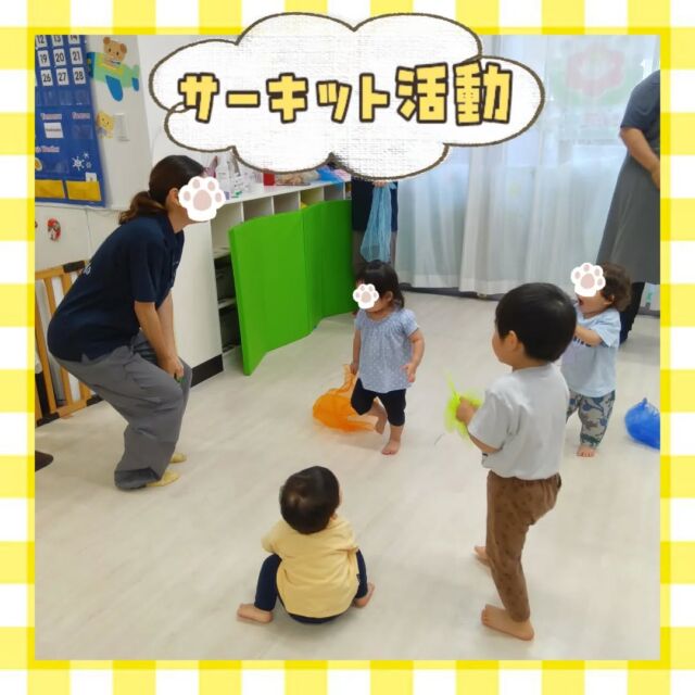 こんにちは😊カメリアキッズ豪徳寺園です💓本日はサーキットDay🔥いつもとは違ったアイテムを使ってたくさん体を動かしました💪🏻0歳のお友だちも興味津々で感触を楽しんでいましたよ🤲🏻他SNSも要チェック♪Instagram:@itg_camellia_kids Twitter:camellia_kidsyoutube:🔎カメリアキッズほいくえ:🔎カメリアキッズ✰✰✰✰✰✰✰✰✰✰✰✰✰✰✰✰🚩カメリアキッズ豪徳寺園🚩〒154-0021東京都世田谷区豪徳寺1-21-5ヴィラ・ゴートク1F-D☎03-5799-7790園児・保育士さん・調理さんを◎◎◎募集中◎◎◎#ママライフ #ママリ #保育園 #子育てママ #保育士 #おもちゃ #ママスタグラム #2歳児 #働くママ #幼児食 #1歳児 #0歳児 #保育 #世田谷区 #保育士の卵 #企業主導型保育園 #保育学生 #小規模保育園 #園児募集 #保育士試験 #保育士募集 # 認可外保育園 #保育学生 #豪徳寺 #保育園探し #保育士求人 #カメリアキッズ #東京都保育園 #世田谷区保育園 #世田谷保育園