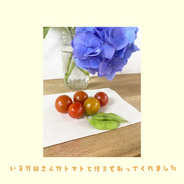 こんにちは🌞たいせつ横浜ポートサイド保育園です🚢先週の給食画像をお届けします😋いるか組さんが育てている、プチトマト🍅と枝豆🫛も大きく育ち、先日収穫してくれました。収穫も大切な経験ですね。自分たちが水やりをして育てた野菜を給食室に「どうぞ！」と手渡す子どもたち。その笑顔はいつもキラキラと輝いています✨💭🤍.•*¨*•.*♬ 💭🤍.•*¨*•.*♬💭 🤍.•*¨*•.*♬説明会開催中です✨ご連絡お待ちしております🌈ホームページ: 🔎たいせつ保育園⁡🍀✨🍀✨🍀✨🍀✨🍀✨🍀✨🍀✨たいせつ横浜ポートサイド保育園📮221－0052🏠神奈川県横浜市神奈川区栄町6－1ヨコハマポートサイドロア弐番館1F☎️ 045-461-0707🍀✨🍀✨🍀✨🍀✨🍀✨🍀✨🍀✨#ママライフ#ママリ#保育園#子育てママ#保育士#ハロウィン #ママスタグラム#2歳児#働くママ#幼児食#1歳児#0歳児#保育#横浜市#保育士の卵#小規模認可保育園#保育学生#園児募集#保育士試験#保育士募集#小規模保育園#保育学生#横浜#保育園探し#保育士求人#たいせつ#神奈川保育園#横浜市保育園#横浜保育園 #給食