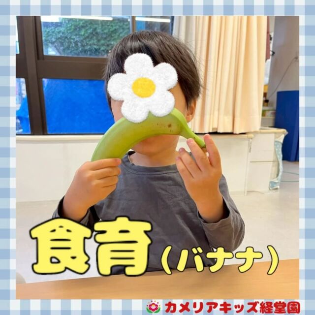こんにちは！カメリアキッズ経堂園です😀オイシックスさんよりバナナをいただきました🍌みんなで触ってみたり、匂いをかいでみたりしました✨＊随時説明会開催中です！ご連絡お待ちしております！他SNSも要チェック♪HP：カメリアキッズyoutube：🔎カメリアキッズほいくえ：🔎カメリアキッズTiktok：🔎@camellia_kids_hoikuen🌷🌷🌷🌷🌷🌷🌷🌷🌷🌷🌷🌷🌷🌷🌷156-0052東京都世田谷区経堂1-19-14第六経堂ビル2F【営業時間7:30〜20:30】TEL.03-6413-7449（受付時間　月〜金　8:30〜17:30）【開園日】月〜日・祝◎園児・保育士・調理さん募集中◎🌷🌷🌷🌷🌷🌷🌷🌷🌷🌷🌷🌷🌷🌷🌷#ママライフ #ママリ #保育園 #子育てママ #保育士 #おもちゃ #ママスタグラム #2歳児 #働くママ #幼児食 #1歳児 #0歳児 #保育 #世田谷区 #保育士の卵 #企業主導型保育園 #保育学生 #小規模保育園 #園児募集 #保育士試験 #保育士募集 #認可外保育園 #保育学生 #経堂 #保育園探し #保育士求人 #カメリアキッズ #東京都保育園 #世田谷区保育園 #経堂保育園