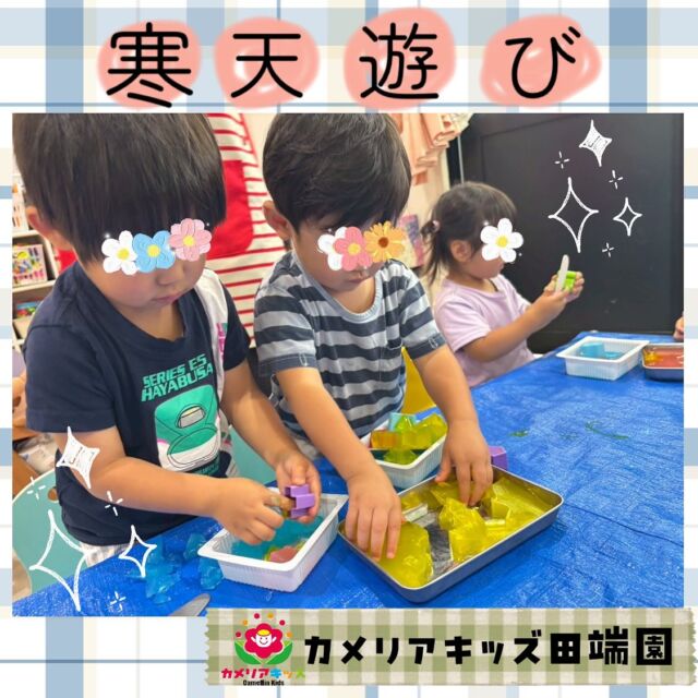 寒天遊びをしました♪感触を楽しんだり、おままごとみたいに切ったり、ちぎったり、型抜きしてコップに入れてみたりしましたよ☺️💓#ママライフ #ママリ #保育園#子育てママ#保育士#おもちゃ#ママスタグラム#2歳児#働くママ#幼児食#1歳児#0歳児#保育#北区#保育士の卵#企業主導型保育園#保育学生#小規模保育園#園児募集#保育士試験#保育士募集#認可外保育園#保育学生#田端#保育園探し#保育士求人#カメリアキッズ#東京都保育園#北区保育園#田端保育園随時説明会開催中です！ご連絡お待ちしております！他SNSも要チェック♪HP：カメリアキッズyoutube：🔎カメリアキッズほいくえ：🔎カメリアキッズTikTok：🔎@camellia_kids_hoikuen☆☆☆☆☆☆☆☆☆☆☆☆カメリアキッズ田端園〒114-0012住所:東京都北区田端新町3-36-10ﾄﾐﾔﾊｲﾑ1F☎️電話番号:03-6240-8755園児・保育士さん・調理さん◎◎◎募集中◎◎◎☆☆☆☆☆☆☆☆☆☆☆☆