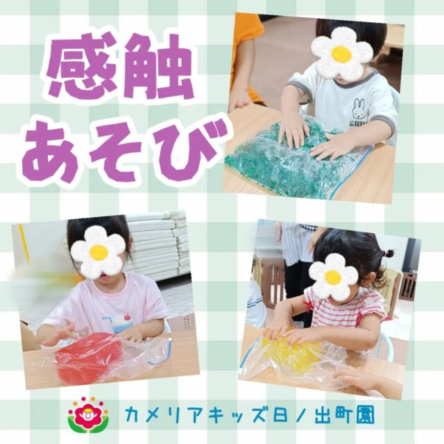 こんにちは♪カメリアキッズ日ノ出町園です😌感触あそびを行いました！きれいな色の寒天にみんな大喜び♪『かたいね〜』と指で触ったり握ってみたり⋯徐々に遊び方もダイナミックになり、力強く握って細かくしたりして遊んでいました✨️.*･｡ﾟ♬*゜ﾟ.*･｡ﾟ♬*゜ﾟ.*･｡ﾟ♬*゜随時説明会開催中です✨ご連絡お待ちしております🌈他SNSも要チェック♪Instagram：@itg_camellia_kidsTwitter：camellia_kidsyoutube：🔎カメリアキッズほいくえ：🔎カメリアキッズTikTok:🔎@camellia_kids_hoikuen⁡⁡☆☆☆☆☆☆☆☆☆☆☆☆🚩カメリアキッズ 日ノ出町園🚩〒231-0066神奈川県横浜市中区日ノ出町1-200日ノ出サクアス201☎️045-334-8529園児・保育士さん・調理さん**◎◎◎募集中**◎◎◎*⁡#ママライフ #ママリ #保育園#子育てママ#保育士#おもちゃ#ママスタグラム#2歳児#働くママ#幼児食#1歳児#0歳児#保育#横浜市#中区#保育士の卵#企業主導型保育園#保育学生#小規模保育園#園児募集#保育士試験#保育士募集#認可外保育園#保育学生#日ノ出町#保育園探し#保育士求人#カメリアキッズ#横浜市保育園#横浜市保育園#横浜保育園