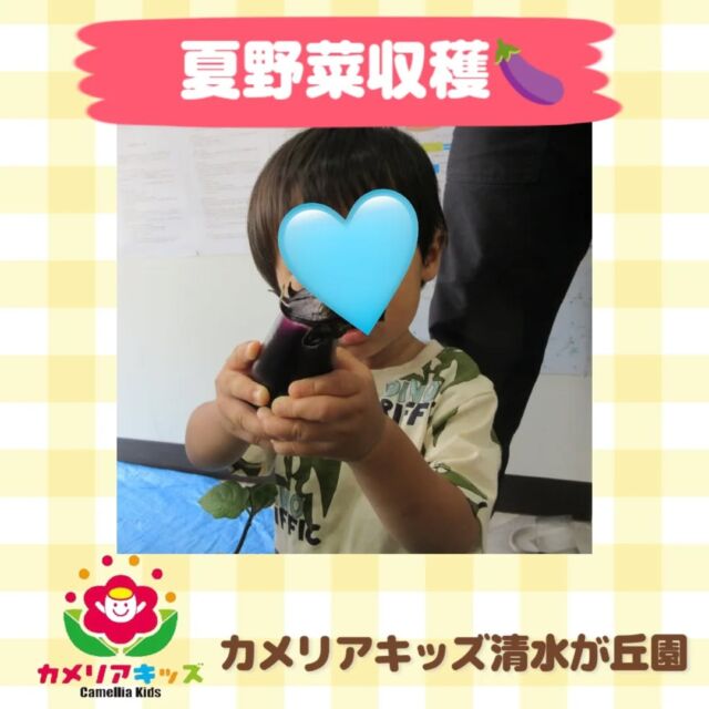 カメリアキッズ清水が丘園です✨先日、なすが育ったのでみんなで収穫のようすを観察しました🍆大きくしっかり実っていました！！なすだけでなく、葉っぱも触ってみたり、みんな興味津々でした🎶随時説明会開催中です！ご連絡お待ちしております！他SNSも要チェック♪HP：カメリアキッズyoutube：🔎カメリアキッズほいくえ：🔎カメリアキッズTikTok：🔎@camellia_kids_hoikuen☆☆☆☆☆☆☆☆☆☆☆☆カメリアキッズ清水が丘園〒183-0015住所東京都府中市清水が丘3-24-3清水が丘三丁目店舗1F☎️電話番号　042-306-5659園児・保育士さん・調理さん◎◎◎募集中◎◎◎#ママライフ #ママリ #保育園#子育てママ#保育士#おもちゃ#ママスタグラム#2歳児#働くママ#幼児食#1歳児#0歳児#保育#府中市#保育士の卵#企業主導型保育園#保育学生#小規模保育園#園児募集#保育士試験#保育士募集#認可外保育園#保育学生#多磨霊園#保育園探し#保育士求人#カメリアキッズ#東京都保育園#府中市保育園#多磨霊園保育園