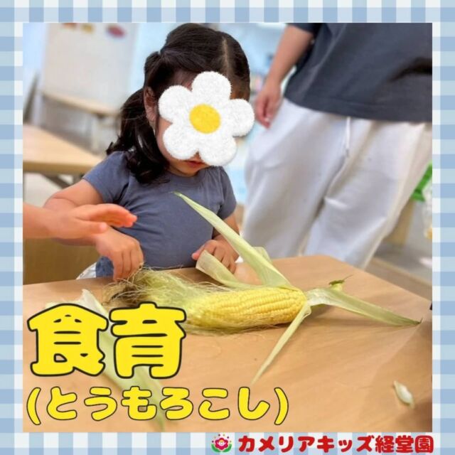 こんにちは！カメリアキッズ経堂園です😀オイシックスさんから枝付きとうもろこしをいただきました🌽みんなで触ってみたり、匂いをかいでみたりたのしみました☺＊随時説明会開催中です！ご連絡お待ちしております！他SNSも要チェック♪HP：カメリアキッズyoutube：🔎カメリアキッズほいくえ：🔎カメリアキッズTiktok：🔎@camellia_kids_hoikuen🌷🌷🌷🌷🌷🌷🌷🌷🌷🌷🌷🌷🌷🌷🌷156-0052東京都世田谷区経堂1-19-14第六経堂ビル2F【営業時間7:30〜20:30】TEL.03-6413-7449（受付時間　月〜金　8:30〜17:30）【開園日】月〜日・祝◎園児・保育士・調理さん募集中◎🌷🌷🌷🌷🌷🌷🌷🌷🌷🌷🌷🌷🌷🌷🌷#ママライフ #ママリ #保育園 #子育てママ #保育士 #おもちゃ #ママスタグラム #2歳児 #働くママ #幼児食 #1歳児 #0歳児 #保育 #世田谷区 #保育士の卵 #企業主導型保育園 #保育学生 #小規模保育園 #園児募集 #保育士試験 #保育士募集 #認可外保育園 #保育学生 #経堂 #保育園探し #保育士求人 #カメリアキッズ #東京都保育園 #世田谷区保育園 #経堂保育園