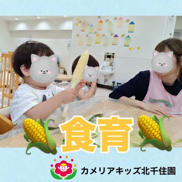 食育でとうもろこし🌽の皮剥きをしました😊✨みんな上手に皮剥きができました☺️⭐︎⭐︎⭐︎⭐︎⭐︎⭐︎⭐︎⭐︎⭐︎⭐︎⭐︎⭐︎⭐︎⭐︎⭐︎⭐︎随時説明会開催中です!ご連絡お待ちしております!他SNSも要チェック♪HP:🔍カメリアキッズyoutube :🔍カメリアキッズほいくえん🔍:カメリアキッズ✨TikTok :🔍@camellia_kids_hoikuen- [ ] ⭐︎⭐︎⭐︎⭐︎⭐︎⭐︎⭐︎⭐︎⭐︎⭐︎⭐︎⭐︎⭐︎⭐︎⭐︎⭐︎カメリアキッズ北千住園〒120-0034住所東京都足立区千住 4-10-3サカイグリーンパーク北千住第7-101号電話番号03-6806-1469⭐︎⭐︎⭐︎⭐︎⭐︎⭐︎⭐︎⭐︎⭐︎⭐︎⭐︎⭐︎⭐︎⭐︎⭐︎⭐︎園児・保育士さん・調理さん〇〇〇募集中〇〇〇#ママライフ#保育園#子育てママ#保育士#おもちゃ#ママスタグラム#2歳児#働くママ#幼児食#1歳児#0歳児#保育#足立区#手作りおもちゃ#企業主導型保育園#保育学生#小規模保育園#園児募集#保育士試験#保育士募集#外保育園#壁面飾り#北千住保育園探し#保育士求人#東京都保育園#足立区保育園#北千住保育#保育園#企業主導型保育園#園児募集