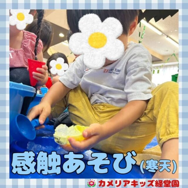 こんにちは！カメリアキッズ経堂園です😀感触あそびを行いました✨️寒天をさわって楽しみました🍮＊随時説明会開催中です！ご連絡お待ちしております！他SNSも要チェック♪HP：カメリアキッズyoutube：🔎カメリアキッズほいくえ：🔎カメリアキッズTiktok：🔎@camellia_kids_hoikuen🌷🌷🌷🌷🌷🌷🌷🌷🌷🌷🌷🌷🌷🌷🌷156-0052東京都世田谷区経堂1-19-14第六経堂ビル2F【営業時間7:30〜20:30】TEL.03-6413-7449（受付時間　月〜金　8:30〜17:30）【開園日】月〜日・祝◎園児・保育士・調理さん募集中◎🌷🌷🌷🌷🌷🌷🌷🌷🌷🌷🌷🌷🌷🌷🌷#ママライフ #ママリ #保育園 #子育てママ #保育士 #おもちゃ #ママスタグラム #2歳児 #働くママ #幼児食 #1歳児 #0歳児 #保育 #世田谷区 #保育士の卵 #企業主導型保育園 #保育学生 #小規模保育園 #園児募集 #保育士試験 #保育士募集 #認可外保育園 #保育学生 #経堂 #保育園探し #保育士求人 #カメリアキッズ #東京都保育園 #世田谷区保育園 #経堂保育園