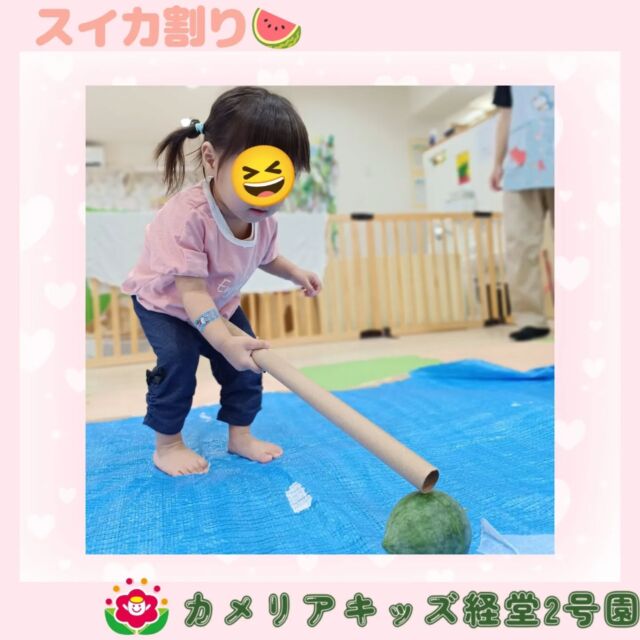 こんにちは🌳🦖カメリアキッズ経堂2号園です！保育園で育てていたスイカでスイカ割りをしました🍉保育者からスイカ割りの説明を聞いて、いざスイカ割り🌟棒を渡されてジッとしているお子さんやバシバシとスイカを叩くお子さんまで様々な姿が見られました😊最後に割ることができると「やったー!!」とみんな大喜びでした🥰他SNSも要チェック♪HP：カメリアキッズyoutube：🔎カメリアキッズほいくえ：🔎カメリアキッズTikTok：🔎@camellia_kids_hoikuen☆☆☆☆☆☆☆☆☆☆☆☆カメリアキッズ経堂2号園〒156-0051東京都世田谷区宮坂2-18-3 キャッスル経堂1階☎️03-5799-6185