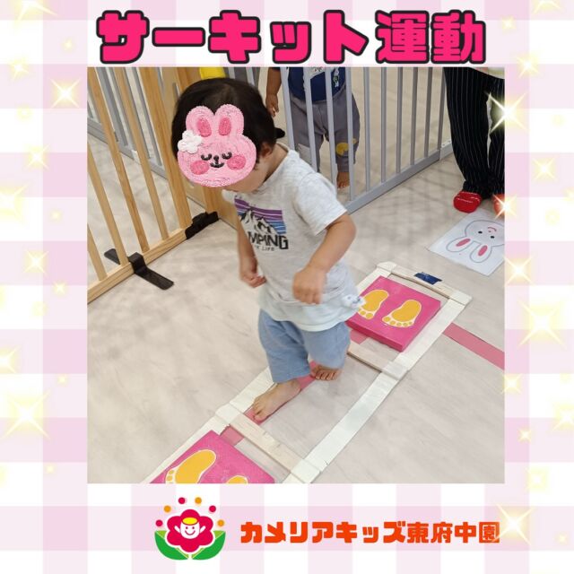 こんにちは😊カメリアキッズ東府中園です✨講師の先生と一緒に新しいコースにチャレンジ🎵ྀིペットボトルの橋を渡るとペコペコと面白い音が鳴ります。「きゃー、ワニがいるよ！」とワニのイラストが下で待ち受けるコースでは、慎重に落ちないようそろりそろり・・・子どもたちそれぞれが、よくコースを観察しながら様々なものを発見したりし、楽しく身体を動かしていました☺️随時説明会開催中です!ご連絡お待ちしております！他SNSも要チェック♪HP:カメリアキッズyoutube:🔎カメリアキッズほいくえ:🔎カメリアキッズTikTok:@camellia_kis_hoikuen☆☆☆☆☆☆☆☆☆☆☆☆☆☆カメリアキッズ東府中園〒183-0005住所　東京都府中市若松町1-7-6サングレース東府中1F☎電話番号042-319-8322園児・保育士さん・調理さん◎◎◎募集中◎◎◎☆☆☆☆☆☆☆☆☆☆☆☆☆☆☆#ママライフ#ママリ#保育園#子育てママ#保育士#おもちゃ#ママスタグラム#2歳児#働くママ#幼児食#1歳児#0才児#保育#府中市#保育士の卵#企業主導型保育園#保育学生#小規模保育園#園児募集#保育士試験#保育士募集#認可外保育園#東府中#保育園探し#保育士求人#カメリアキッズ#東京都保育園#府中市保育園#東府中保育園