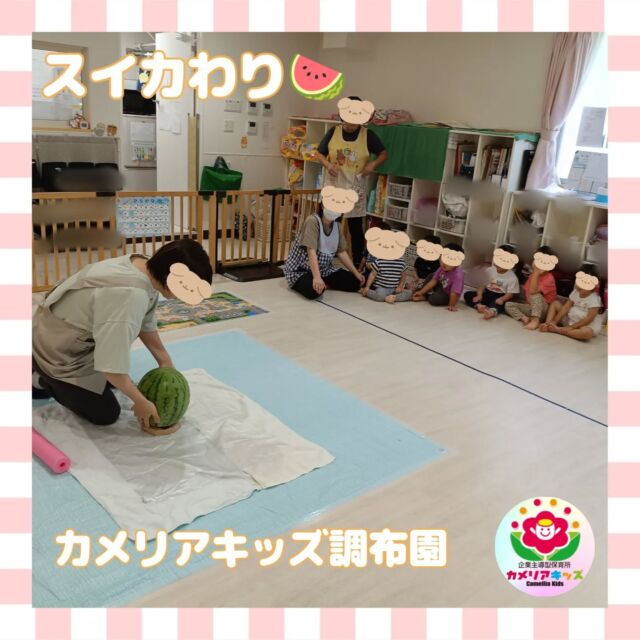 こんにちはカメリアキッズ調布園です🎶今年はスイカわり🍉をしました✨子どもたちは力を合わせて一生懸命棒でスイカを叩いてくれました😊大盛りあがりで、みんな笑顔で楽しんでくれました♪———————————他SNSも要チェック♪HP ： カメリアキッズyoutube:Oカメリアキッズほいくえ：●カメリアキッズTikTok: @camellia_kids_hoikuen★★★★★★★★★★★★カメリアキッズ調布園〒184-0026調布市小島町1-5-6アールアンドエスビル1階重042-452-8705園児・保育士さん・調理さん◎O◎募集中◎◎◎＃保育園 #保育園探し ＃東京都保育園 #東京都 #企業主導型保育園 ＃認可外保育園 ＃小規模保育園 #調布市保育園 #調布市＃調布 #調布保育園 #保育士 ＃保育 #保育士求人 #Tグループ株式会社 #保育士募集 #園児募集 #おもちゃ #保育士の卵#保育園給食#保育学生 #ママスタグラム #ママリ #ママライフ #保育園探し #0歳児募集 #0歳児 #1歳児 #2歳児ん