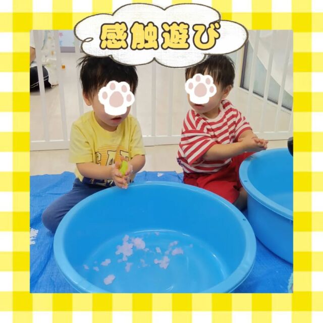 こんにちは😊カメリアキッズ豪徳寺園です💓今週の感触遊びの様子です🤲🏻✨️それぞれの違った感触が楽しめるようにバリエーションもどんどん増えてきました💨他SNSも要チェック♪Instagram:@itg_camellia_kids Twitter:camellia_kidsyoutube:🔎カメリアキッズほいくえ:🔎カメリアキッズ✰✰✰✰✰✰✰✰✰✰✰✰✰✰✰✰🚩カメリアキッズ豪徳寺園🚩〒154-0021東京都世田谷区豪徳寺1-21-5ヴィラ・ゴートク1F-D☎03-5799-7790園児・保育士さん・調理さんを◎◎◎募集中◎◎◎#ママライフ #ママリ #保育園 #子育てママ #保育士 #おもちゃ #ママスタグラム #2歳児 #働くママ #幼児食 #1歳児 #0歳児 #保育 #世田谷区 #保育士の卵 #企業主導型保育園 #保育学生 #小規模保育園 #園児募集 #保育士試験 #保育士募集 # 認可外保育園 #保育学生 #豪徳寺 #保育園探し #保育士求人 #カメリアキッズ #東京都保育園 #世田谷区保育園 #世田谷保育園