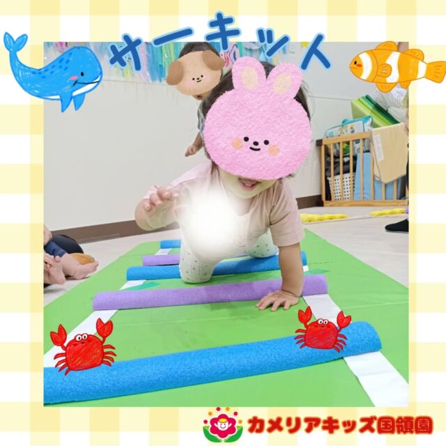 こんにちは😊カメリアキッズ国領園です✨サーキット運動をしました😄海の生き物に変身をして楽しく身体を動かしていました😆⁡☆☆☆☆☆☆☆☆☆☆☆☆カメリアキッズ国領園〒184-0022調布市国領町4-21-12 フェリーチェ国領1階☎️042-444-6199園児・保育士さん・調理さん◎◎◎募集中◎◎◎☆☆☆☆☆☆☆☆☆☆☆☆#ママライフ #ママリ #保育園#子育てママ#保育士#おもちゃ#ママスタグラム#2歳児#働くママ#幼児食#1歳児#0歳児#保育#調布市#保育士の卵#企業主導型保育園#保育学生#小規模保育園#園児募集#保育士試験#保育士募集#認可外保育園#保育学生#国領#保育園探し#保育士求人#東京都保育園#調布市保育園#国領保育園