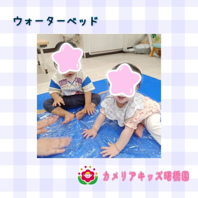 こんにちは！カメリアキッズ曙橋園です😊袋に水を入れて感触遊びをしました！初めは不思議そうに触りながらも慣れてくると気持ちいい〜と寝転ぶ姿も見られました！🌈随時説明会開催中です！ご連絡お待ちしております！他SNSも要チェック♪HP：カメリアキッズyoutube：🔎カメリアキッズほいくえ：🔎カメリアキッズTikTok：🔎@camellia_kids_hoikuen☆☆☆☆☆☆☆☆☆☆☆☆カメリアキッズ曙橋園〒162-0065住所：東京都新宿区住吉町3-16グランハイツ1階☎️03-6380-4067園児・保育士さん・調理さん◎◎◎募集中◎◎◎