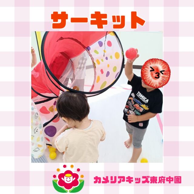 こんにちは😊カメリアキッズ東府中園です✨先週は8月のお誕生日のお友だちのお祝いをしました🎂主役のお友だちにクレイケーキを持ってもらい、みんなで「おめでとう！」と“ハッピーバースデー”を歌いながら拍手。みんなからのお祝いに主役のお友だちもニコニコで喜んでくれ、笑顔溢れるお誕生日会になりました☺️また身体遊びでは段ボールを立てたトンネルやボール入れに挑戦✨ちょっぴり暗いけどわくわくするね。とハイハイで慎重に進んでいき、2種類のトンネルを交互に楽しみました❣️随時説明会開催中です!ご連絡お待ちしております！他SNSも要チェック♪HP:カメリアキッズyoutube:🔎カメリアキッズほいくえ:🔎カメリアキッズTikTok:@camellia_kis_hoikuen☆☆☆☆☆☆☆☆☆☆☆☆☆☆カメリアキッズ東府中園〒183-0005住所　東京都府中市若松町1-7-6サングレース東府中1F☎電話番号042-319-8322園児・保育士さん・調理さん◎◎◎募集中◎◎◎☆☆☆☆☆☆☆☆☆☆☆☆☆☆☆#ママライフ#ママリ#保育園#子育てママ#保育士#おもちゃ#ママスタグラム#2歳児#働くママ#幼児食#1歳児#0才児#保育#府中市#保育士の卵#企業主導型保育園#保育学生#小規模保育園#園児募集#保育士試験#保育士募集#認可外保育園#東府中#保育園探し#保育士求人#カメリアキッズ#東京都保育園#府中市保育園#東府中保育園