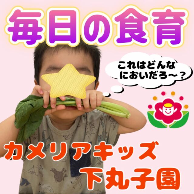 こんにちは😊カメリアキッズ下丸子園です🌺毎日の朝の食育の様子です🥬給食で出てくる食材クイズでみんなとても楽しく参加してくれてます!!どんな匂いがするのか感触などなど…みんなお野菜博士みたいで「〇〇～」とすぐに答えてくれますよ😊♪.:*:'゜☆.:*:'゜♪.:*:'゜☆.:*:・'゜♪.:*:・'゜☆.:*:・'゜♪.:*:随時説明会開催中です！ご連絡お待ちしております！他SNSも要チェック♪HP：カメリアキッズyoutube：🔎カメリアキッズほいくえ：🔎カメリアキッズTikTok：🔎@camellia_kids_hoikuen☆☆☆☆☆☆☆☆☆☆☆☆カメリアキッズ下丸子園〒146-0092住所：東京都大田区下丸子3-13-19ラ・カーサプリマベーラ1Ｆ☎️電話番号：03-6459-8787園児・保育士さん・調理さん◎◎◎募集中◎◎◎☆☆☆☆☆☆☆☆☆☆☆☆#ママライフ #ママリ #保育園#子育てママ#保育士#おもちゃ#ママスタグラム#2歳児#働くママ#幼児食#1歳児#0歳児#保育#大田区#保育士の卵 #企業主導型保育園#保育学生#小規模保育園#園児募集#保育士試験#保育士募集#認可外保育園#保育学生#武蔵関#保育園探し#保育士求人#カメリアキッズ#東京都保育園#大田区保育園#下丸子保育園