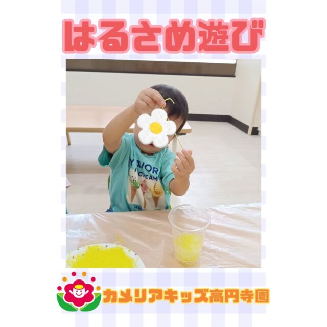 こんにちは！カメリアキッズ高円寺園です☺️昨日は、紙皿やプラスチックのコップに色付けした春雨を入れて遊びました。みんな不思議な触感に興味津々！一本だけつまんでみる子。ギュッギュッと揉んでみる子。「気持ちいいね〜！」とそれぞれに楽しんでいました。ピンクと黄色の春雨を混ぜてグルグル...キレイなミックスジュースもできましたよ♥️途中、少し乾燥してしまったため水につけて戻すと...春雨の変化した様子に気づき「モチモチになったね！」と目を輝かせて教えてくれた子もいました😄明日もたくさん遊ぼうね⭐☆☆☆☆☆☆☆☆☆☆☆☆☆随時説明会開催中です！ご連絡お待ちしております！他SNSも要チェック♪HP：カメリアキッズyoutube：🔎カメリアキッズほいくえ：🔎カメリアキッズTikTok：🔎@camellia_kids_hoikuen☆☆☆☆☆☆☆☆☆☆☆☆☆カメリアキッズ高円寺園〒166-0003住所 東京都杉並区高円寺南3-62-6高円寺ゲーテビル1階☎️電話番号03-6454-6064園児・保育士さん◎◎◎募集中◎◎◎☆☆☆☆☆☆☆☆☆☆☆☆☆#保育園#保育#子ども#0歳児#1歳児#2歳児#企業主導型保育園#机上あそび#お絵描き#パズル#英語#英語リトミック#給食#サーキット #マット #お野菜#お誕生日会#食育#果物#春雨遊び
