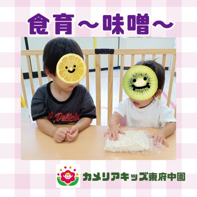 こんにちは😊カメリアキッズ東府中園です✨少しずつ暑さも和らいできており、子どもたちも戸外で身体を動かしてあそぶことができる気候になってきました✨先週は食育もあり、テーマは“味噌”でした。実際のお味噌を袋の上から触ってみて、ムニムニした感触に興味深々の子どもたち。「お豆が味噌になるんだね。」と紙芝居を見たりしてみんなで一緒にお味噌について沢山学ぶことができましたよ☺️9月のお友だちのお誕生日会を行ったり、秋を感じさせるおいしい給食を味わったり。盛りだくさんな1週間でした。随時説明会開催中です!ご連絡お待ちしております！他SNSも要チェック♪HP:カメリアキッズyoutube:🔎カメリアキッズほいくえ:🔎カメリアキッズTikTok:@camellia_kis_hoikuen☆☆☆☆☆☆☆☆☆☆☆☆☆☆カメリアキッズ東府中園〒183-0005住所　東京都府中市若松町1-7-6サングレース東府中1F☎電話番号042-319-8322園児・保育士さん・調理さん◎◎◎募集中◎◎◎☆☆☆☆☆☆☆☆☆☆☆☆☆☆☆#ママライフ#ママリ#保育園#子育てママ#保育士#おもちゃ#ママスタグラム#2歳児#働くママ#幼児食#1歳児#0才児#保育#府中市#保育士の卵#企業主導型保育園#保育学生#小規模保育園#園児募集#保育士試験#保育士募集#認可外保育園#東府中#保育園探し#保育士求人#カメリアキッズ#東京都保育園#府中市保育園#東府中保育園