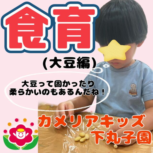 こんにちは😊カメリアキッズ下丸子園です🌺先日、食育をおこないました!!9月は2回食育がありますが今回は「大豆」の食育の様子です!!調理の先生が、固いままの大豆と水に数時間ひたした大豆と茹でた大豆をご用意してくださり子ども達は感触を楽しんでましたよ😊固い大豆はコロコロ転がったり柔らかい大豆は潰してみたりと各々、大豆の感触を楽しんでいましたよ😊その後、魔法の液体(にがり)を入れて固めたもの(豆腐)を子ども達に見せてそちらも触って感触を楽しんでいましたよ!!♪.:*:'゜☆.:*:'゜♪.:*:'゜☆.:*:・'゜♪.:*:・'゜☆.:*:・'゜♪.:*:随時説明会開催中です！ご連絡お待ちしております！他SNSも要チェック♪HP：カメリアキッズyoutube：🔎カメリアキッズほいくえ：🔎カメリアキッズTikTok：🔎@camellia_kids_hoikuen☆☆☆☆☆☆☆☆☆☆☆☆カメリアキッズ下丸子園〒146-0092住所：東京都大田区下丸子3-13-19ラ・カーサプリマベーラ1Ｆ☎️電話番号：03-6459-8787園児・保育士さん・調理さん◎◎◎募集中◎◎◎☆☆☆☆☆☆☆☆☆☆☆☆#ママライフ #ママリ #保育園#子育てママ#保育士#おもちゃ#ママスタグラム#2歳児#働くママ#幼児食#1歳児#0歳児#保育#大田区#保育士の卵 #企業主導型保育園#保育学生#小規模保育園#園児募集#保育士試験#保育士募集#認可外保育園#保育学生#武蔵関#保育園探し#保育士求人#カメリアキッズ#東京都保育園#大田区保育園#下丸子保育園