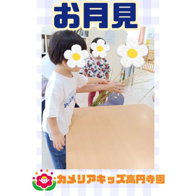 こんにちは！カメリアキッズ高円寺園です☺️先日、少し早めのお月見会をしました。童謡「うさぎ」を皮切りにお月見会のはじまり🐇最近はあまり耳にしないしっとりした和のメロディーに子どもたちは目を丸くしていましたよ👀お月見会の由来に関するパネルシアターを観たあとに、またまた童謡「つき」の手遊び歌をしました。0歳のお友だちは手を叩いてリアクションを見せてくれました！その後はススキを触ってみました。初めて見る子も多いのか、長ーいススキに驚きながらも手を伸ばして興味津々✨️（十五夜はお米の収穫を願う意味もあるため、昔からお米に見た目が似ているススキを飾るようです🌾)また、小麦粉粘土で「お月見団子づくり」もしました！まるめたり、つぶしてみたりと子どもたちらしく様々な形で作ってくれました！お団子を三方に乗せてもらい玄関に飾ると、帰りも嬉しそうに眺めていた子どもたち🎑お月見の雰囲気をたっぷり感じられた一日となりました！今年の十五夜は10月6日だそうです！ぜひ、空を見上げてみてくださいね🌕️☆☆☆☆☆☆☆☆☆☆☆☆☆随時説明会開催中です！ご連絡お待ちしております！他SNSも要チェック♪HP：カメリアキッズyoutube：🔎カメリアキッズほいくえ：🔎カメリアキッズTikTok：🔎@camellia_kids_hoikuen☆☆☆☆☆☆☆☆☆☆☆☆☆カメリアキッズ高円寺園〒166-0003住所 東京都杉並区高円寺南3-62-6高円寺ゲーテビル1階☎️電話番号03-6454-6064園児・保育士さん◎◎◎募集中◎◎◎☆☆☆☆☆☆☆☆☆☆☆☆☆#保育園#保育#子ども#0歳児#1歳児#2歳児#企業主導型保育園#机上あそび#お絵描き#パズル#英語#英語リトミック#給食#サーキット #マット #お野菜#お誕生日会#食育#果物#お月見