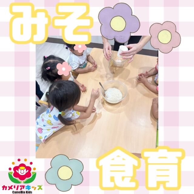 こんにちは♪みその食育をしました☺️実際にみそを作る工程を体験してみたりまぜまぜして楽しく学べました✨随時説明会開催中です!ご連絡お待ちしております!他SNSも要チェック♪HP:カメリアキッズyoutube:🔎カメリアキッズほいくえ:🔎カメリアキッズTikTok:🔎@camellia_kids_hoikuen☆☆☆☆☆☆☆☆☆☆☆☆カメリアキッズ蒲田2号園〒144-0051東京都大田区西蒲田8-7-1ブランドール2F☎️03-6715-8965園児・保育士さん・調理さん◎◎◎募集中◎◎◎☆☆☆☆☆☆☆☆☆☆☆☆#ママライフ #ママリ #保育園#子育てママ#保育士#おもちゃ#ママスタグラム#2歳児#働くママ#幼児食#1歳児#0歳児#保育#大田区#保育士の卵#企業主導型保育園#保育学生#小規模保育園#園児募集#保育士試験#保育士募集#認可外保育園#保育学生#蒲田#保育園探し#保育士求人#カメリアキッズ#東京都保育園#大田区保育園#蒲田保育園