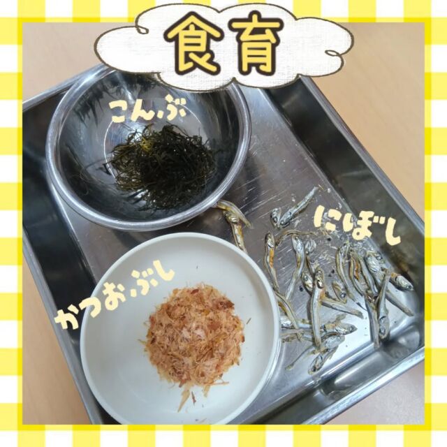 こんにちは😊カメリアキッズ豪徳寺園です💓本日は食育を行いました✨️今月のテーマは【だし】です!3種類の食材を使って香りの違いなど比較しました🐟️🪸他SNSも要チェック♪Instagram:@itg_camellia_kids Twitter:camellia_kidsyoutube:🔎カメリアキッズほいくえ:🔎カメリアキッズ✰✰✰✰✰✰✰✰✰✰✰✰✰✰✰✰🚩カメリアキッズ豪徳寺園🚩〒154-0021東京都世田谷区豪徳寺1-21-5ヴィラ・ゴートク1F-D☎03-5799-7790園児・保育士さん・調理さんを◎◎◎募集中◎◎◎#ママライフ #ママリ #保育園 #子育てママ #保育士 #おもちゃ #ママスタグラム #2歳児 #働くママ #幼児食 #1歳児 #0歳児 #保育 #世田谷区 #保育士の卵 #企業主導型保育園 #保育学生 #小規模保育園 #園児募集 #保育士試験 #保育士募集 # 認可外保育園 #保育学生 #豪徳寺 #保育園探し #保育士求人 #カメリアキッズ #東京都保育園 #世田谷区保育園 #世田谷保育園