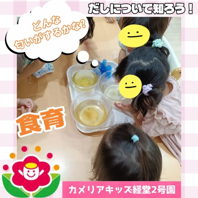 こんにちは！カメリアキッズ経堂2号園です✨今回は「出汁について」の食育をした様子をお届けします☺️昆布、かつお節、にぼしの3種類を実際に見たり触ったりしてもらったり、その3種類から出汁をとった汁を匂いを嗅いだりして違いを感じてもらいました♫子どもたちみんな興味津々になり、この汁がいつも飲んでいる味噌汁などになっていることを知ることができていましたよ🥰************************随時説明会開催中です！ご連絡お待ちしております！他SNSも要チェック♪HP：カメリアキッズyoutube：🔎カメリアキッズほいくえ：🔎カメリアキッズTikTok：🔎@camellia_kids_hoikuen☆☆☆☆☆☆☆☆☆☆☆☆カメリアキッズ経堂2号園〒156-0051東京都世田谷区宮坂2-18-3 キャッスル経堂1階☎️03-5799-6185園児・保育士さん・調理さん◎◎◎募集中◎◎◎☆☆☆☆☆☆☆☆☆☆☆☆#ママライフ#ママリ#保育園#子育てママ#保育士#おもちゃ#ママスタグラム#2歳児#働くママ#幼児食#離乳食#1歳児#0歳児#保育#世田谷区#保育士の卵#企業型保育園#保育学生#小規模保育園#園児募集#保育士試験#保育士募集#認可外保育施設#保育学生#経堂#保育園探#保育士求人#カメリアキッズ#東京都保育園#世田谷区保育園#世田谷保育園