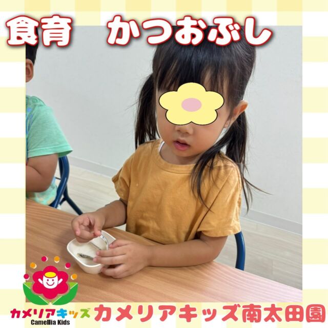 こんにちは🐈カメリアキッズ南太田園です🫧かつおぶしについて学びました😌あまりにも良い匂いだったので口を開けて食べたーいとなっていました😳。・:*:・゜★,。・:*:・゜☆。・:*:・゜★,。・:*:・゜☆⁡  随時説明会開催中です✨ ご連絡お待ちしております🌈 ⁡ 他SNSも要チェック♪ HP：カメリアキッズ youtube：🔎カメリアキッズ ほいくえ：🔎カメリアキッズ TikTok：🔎@camellia_kids_hoikuen ⁡ ☆☆☆☆☆☆☆☆☆☆☆☆  🚩カメリアキッズ 南太田園🚩 〒232-0006 神奈川県横浜市南区南太田１丁目34-7 ☎️045-334-7497  園児・保育士さん・調理さん **◎◎◎募集中**◎◎◎* ⁡ #ママライフ #ママリ #保育園#子育てママ#保育士#おもちゃ#ママスタグラム#2歳児#働くママ#幼児食#1歳児#0歳児#保育#南区#保育士の卵#企業主導型保育園#保育学生#小規模保育園#園児募集#保育士試験#保育士募集#認可外保育園#保育学生#南太田#保育園探し#保育士求人#カメリアキッズ#神奈川県保育園#南区保育園#南太田保育園