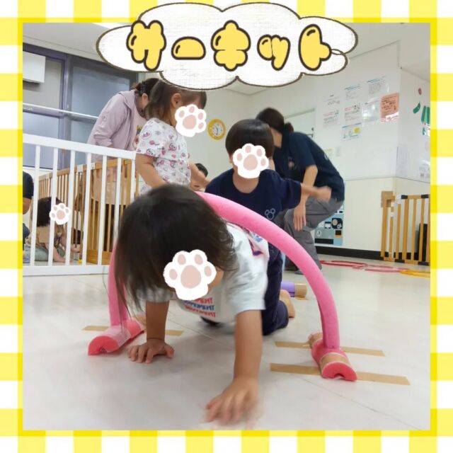 こんにちは😊カメリアキッズ豪徳寺園です💓先日のサーキット活動の様子です💪🏻歩行が上手になってきた0歳児クラスのお友だちも交え、平均台やプールスティックのトンネルをくぐったりと上手に体を動かすことが出来ました💨💨他SNSも要チェック♪Instagram:@itg_camellia_kids Twitter:camellia_kidsyoutube:🔎カメリアキッズほいくえ:🔎カメリアキッズ✰✰✰✰✰✰✰✰✰✰✰✰✰✰✰✰🚩カメリアキッズ豪徳寺園🚩〒154-0021東京都世田谷区豪徳寺1-21-5ヴィラ・ゴートク1F-D☎03-5799-7790園児・保育士さん・調理さんを◎◎◎募集中◎◎◎#ママライフ #ママリ #保育園 #子育てママ #保育士 #おもちゃ #ママスタグラム #2歳児 #働くママ #幼児食 #1歳児 #0歳児 #保育 #世田谷区 #保育士の卵 #企業主導型保育園 #保育学生 #小規模保育園 #園児募集 #保育士試験 #保育士募集 # 認可外保育園 #保育学生 #豪徳寺 #保育園探し #保育士求人 #カメリアキッズ #東京都保育園 #世田谷区保育園 #世田谷保育園