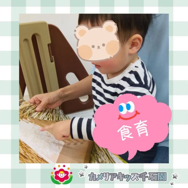 こんにちは😊カメリアキッズ千石園です✨先日の食育の様子です！お米がどうやって出来るのか、稲穂を触りながら学びました🌾⋈ ･････････････････････････ ⋈説明会開催中です✰ご連絡お待ちしております！⁡他SNSも要チェック↓Instagram：@itg_camellia_kidsTwitter：camellia_kidsyoutube：🔎カメリアキッズほいくえ：🔎カメリアキッズ𖡼.𖤣𖥧𖡼.𖤣𖥧𖡼.𖤣𖥧𖡼.𖤣𖥧𖡼.𖤣𖥧𖡼.𖤣𖥧𖡼.𖤣𖥧𖡼.𖤣𖥧𖡼.𖤣𖥧カメリアキッズ千石園📮135-0015🏠東京都江東区千石3-1-31☎️03-6666-8771𖡼.𖤣𖥧𖡼.𖤣𖥧𖡼.𖤣𖥧𖡼.𖤣𖥧𖡼.𖤣𖥧𖡼.𖤣𖥧𖡼.𖤣𖥧𖡼.𖤣𖥧𖡼.𖤣𖥧#ママライフ #ママリ #保育園 #子育てママ #保育士 #おもちゃ #ママスタグラム#2歳児 #働くママ #幼児食 #1歳児 #0歳児 #保育 #江東区 #保育士の卵 #企業主導型保育園 #保育学生 #小規模保育園 #園児募集 #保育士試験 #保育士募集 #認可外保育園 #保育学生 #千石 #保育園探し #保育士求人 #カメリアキッズ #東京都保育園 #江東区保育園 #千石保育園